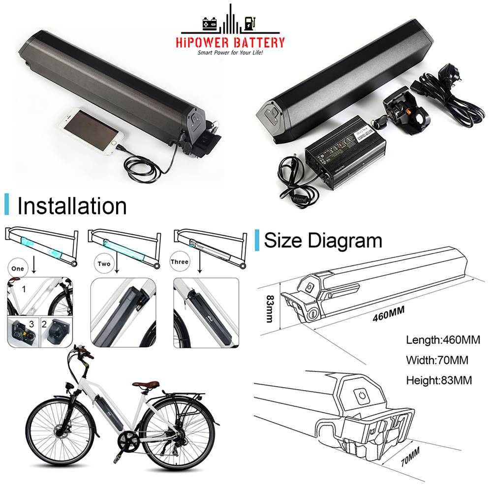 Dorado E-bike Battery-2.jpg